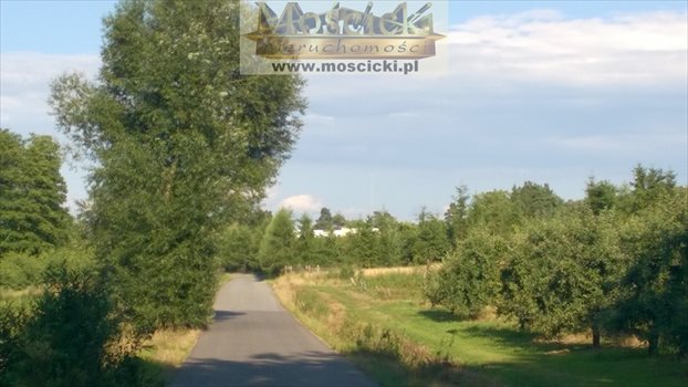 Dom na sprzedaż Kruszew 125m2 Foto 8