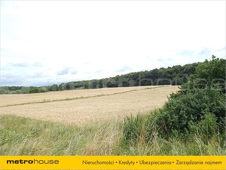 Działka inna na sprzedaż Janów, Chełm 1 250m2 Foto 5