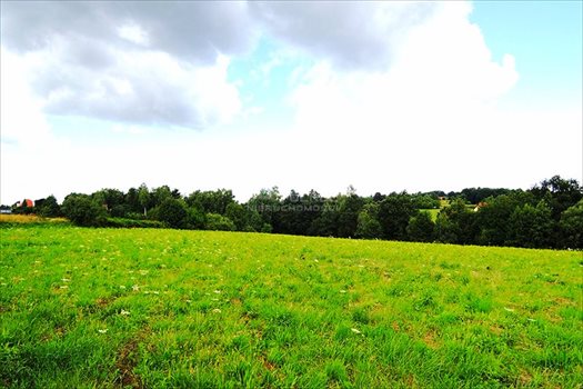 Działka budowlana na sprzedaż Włosań 1 200m2 Foto 6