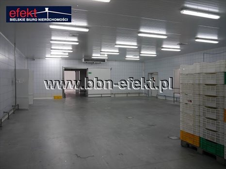 Lokal użytkowy na sprzedaż Rybarzowice 1 880m2 Foto 4