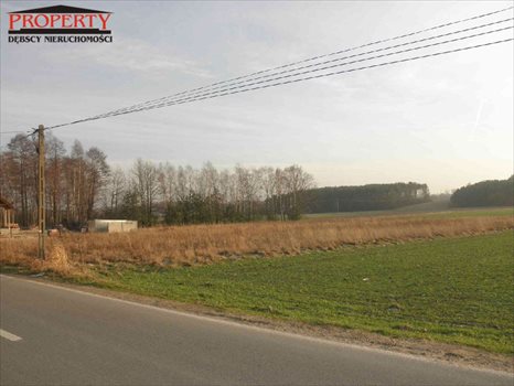Działka budowlana na sprzedaż Zofiówka, ok. Zofiówki 1 256m2 Foto 3