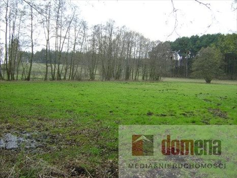 Działka siedliskowa na sprzedaż Dormowo 9 300m2 Foto 1