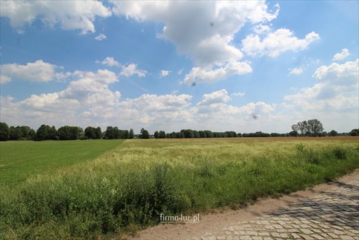 Działka budowlana na sprzedaż Gościnowo 1 688m2 Foto 2