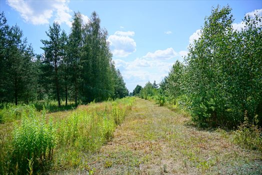 Działka budowlana na sprzedaż Osowiec 2 100m2 Foto 9
