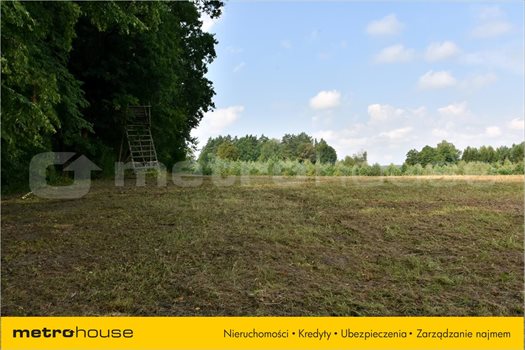 Działka rolna na sprzedaż Smolajny, Dobre Miasto 3 548m2 Foto 5