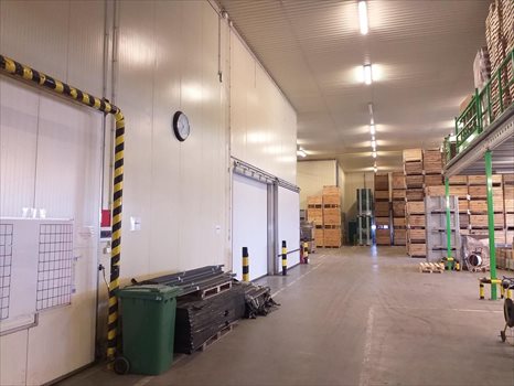 Lokal użytkowy na sprzedaż Białobrzegi 2 000m2 Foto 9