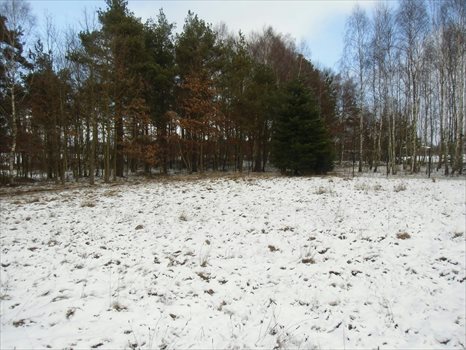 Działka budowlana na sprzedaż Dobrzewino, Ratanowa 1 448m2 Foto 4