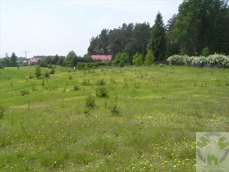 Działka inna na sprzedaż Kamień, Tymiankowa 1 532m2 Foto 10