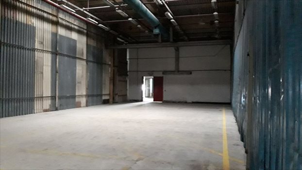 Lokal użytkowy na wynajem Piła 1 600m2 Foto 3