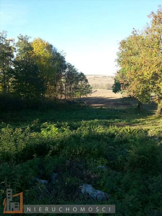 Działka budowlana na sprzedaż Więcławice Dworskie 9 956m2 Foto 2