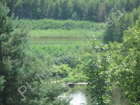Działka rolna na sprzedaż Gójszcz 1 050m2 Foto 2