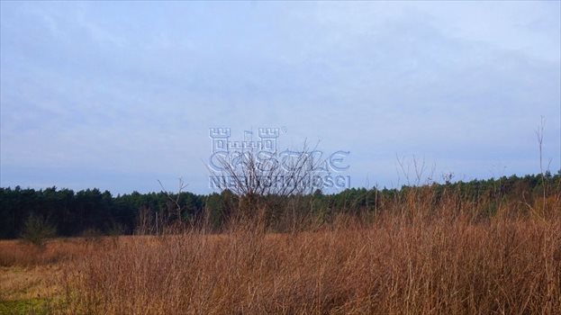 Działka budowlana na sprzedaż Kicin, Nagietkowa 1 496m2 Foto 3