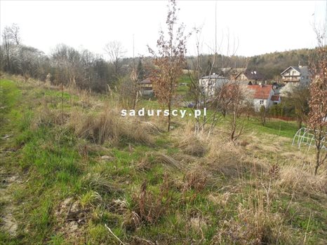 Działka budowlana na sprzedaż Balice, Radziwiłłowska 1 700m2 Foto 2