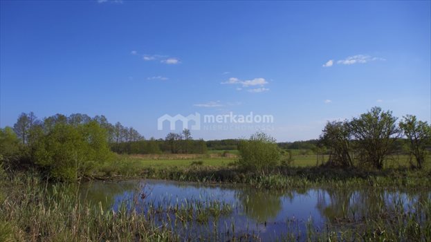 Działka siedliskowa na sprzedaż Potrzanowo 19 400m2 Foto 5