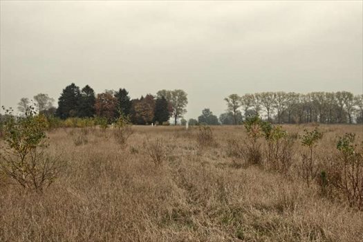 Działka budowlana na sprzedaż Łukęcin 1 104m2 Foto 1