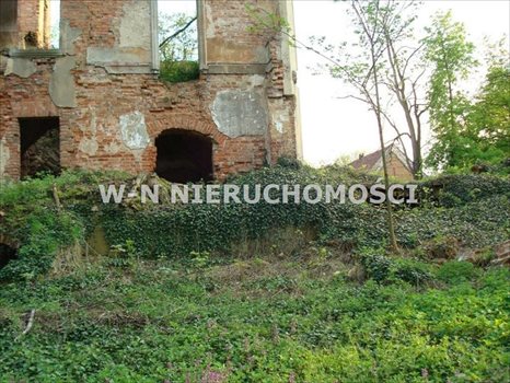 Lokal użytkowy na sprzedaż Bytom Odrzański, Bodzów 9 600m2 Foto 7