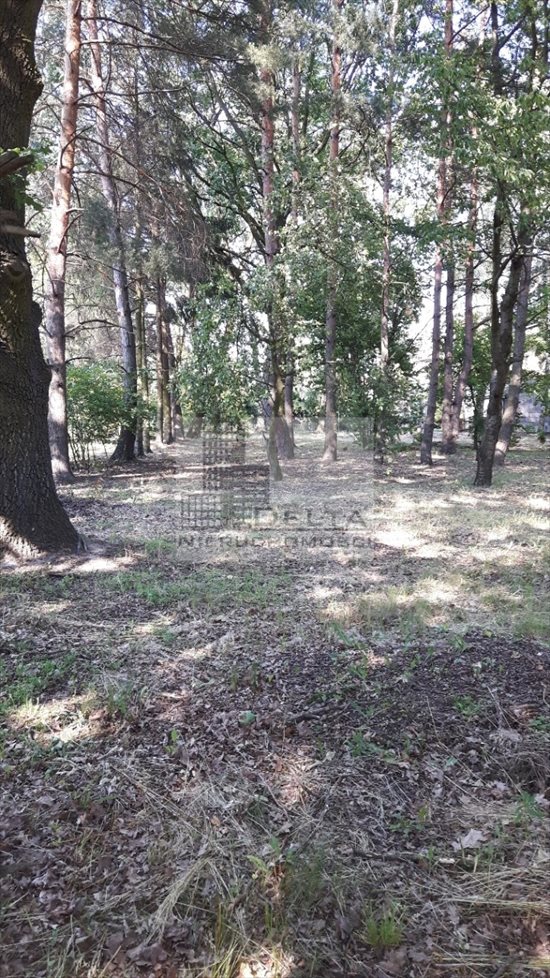 Działka budowlana na sprzedaż Brwinów, Kanie 1 203m2 Foto 3