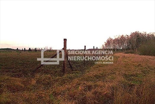 Działka leśna na sprzedaż Strzeczona 129 577m2 Foto 3