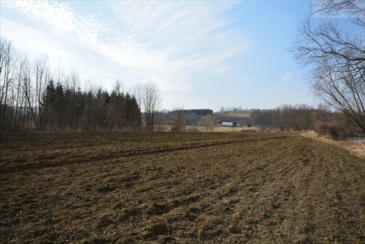Działka rekreacyjna na sprzedaż Wara 2 955m2 Foto 7