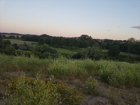 Działka budowlana na sprzedaż Żukowo, Jana Pawła II 16 708m2 Foto 5