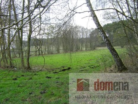 Działka siedliskowa na sprzedaż Dormowo 9 300m2 Foto 5