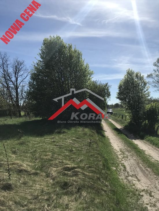 Działka rekreacyjna na sprzedaż Arciechów 1 283m2 Foto 3