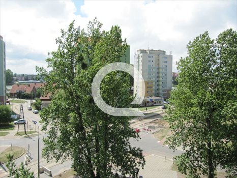 Lokal użytkowy na wynajem Gdańsk, Przeróbka 797m2 Foto 5