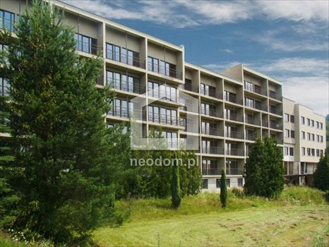 Działka inna na sprzedaż Szczawa 15 000m2 Foto 3