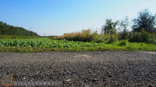 Działka budowlana na sprzedaż Bibice 2 397m2 Foto 4