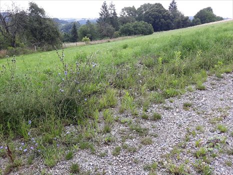 Działka budowlana na sprzedaż Paczółtowice 1 200m2 Foto 1