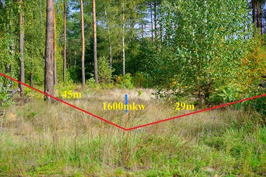 Działka budowlana na sprzedaż Musuły 1 600m2 Foto 9