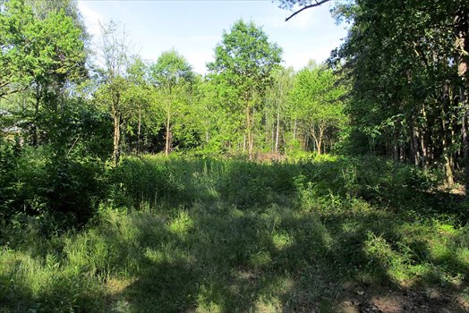 Działka budowlana na sprzedaż Wiązowna Kościelna, Kącka 5 771m2 Foto 1