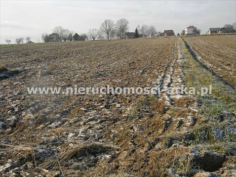 Działka budowlana na sprzedaż Męcina 5 800m2 Foto 2