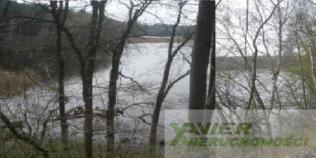 Działka budowlana na sprzedaż Bledzew 1 000m2 Foto 8