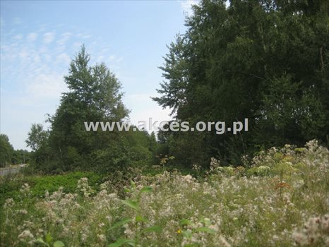 Działka inna na sprzedaż Słubica A 18 864m2 Foto 2