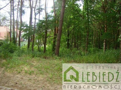 Działka budowlana na sprzedaż Łomianki, Dąbrowa Leśna, Grzybowa 1 643m2 Foto 4