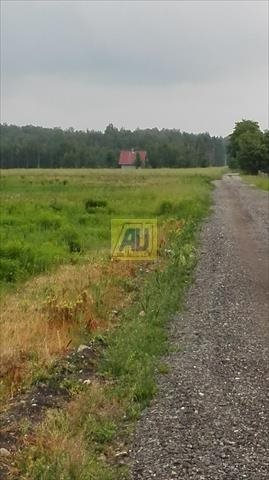 Działka budowlana na sprzedaż Nowe Racibory 15 000m2 Foto 4