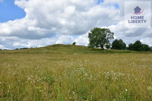 Działka budowlana na sprzedaż Giedajty 1 586m2 Foto 10