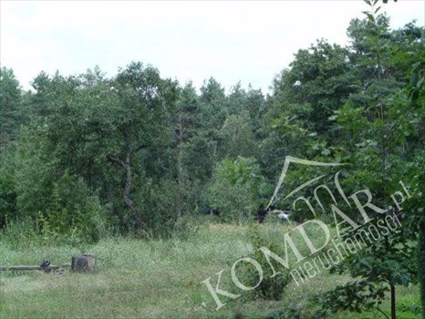 Działka budowlana na sprzedaż Warszawa, Wawer, Fromborska 3 459m2 Foto 3