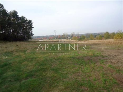 Działka budowlana na sprzedaż Łódź 10 976m2 Foto 7