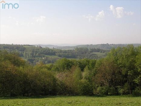 Działka budowlana na sprzedaż Kielnarowa 1 450m2 Foto 1