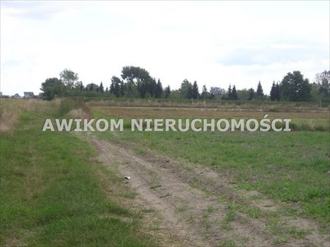 Działka budowlana na sprzedaż Skierniewice, Miedniewice 5 260m2 Foto 2