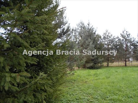 Działka rolna na sprzedaż Januszowice 2 800m2 Foto 6
