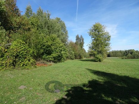 Działka inna na sprzedaż Osęka 7 600m2 Foto 10