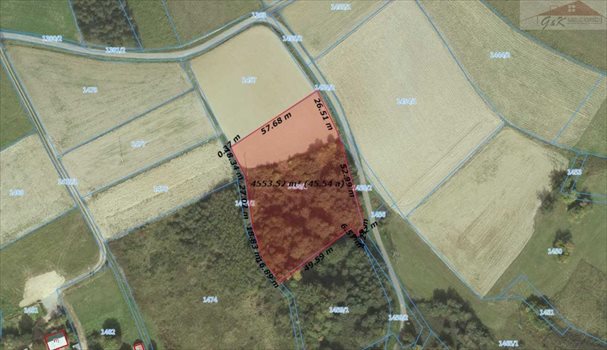 Działka rekreacyjna na sprzedaż Sielnica 4 600m2 Foto 1