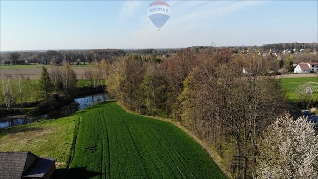 Działka budowlana na sprzedaż Dankowice, Podlesie 1 742m2 Foto 3