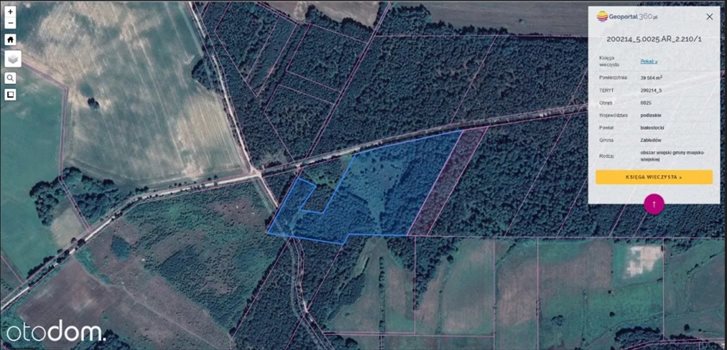 Działka rolna na sprzedaż Małynka 61 200m2 Foto 3