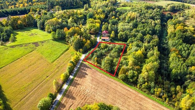 Działka budowlana na sprzedaż Niechobrz 2 300m2 Foto 1