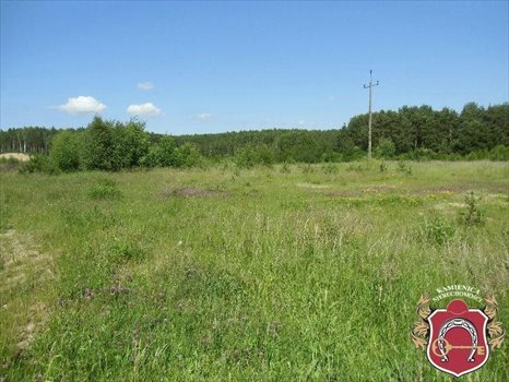 Działka komercyjna na sprzedaż Zakrzewo 14 600m2 Foto 4