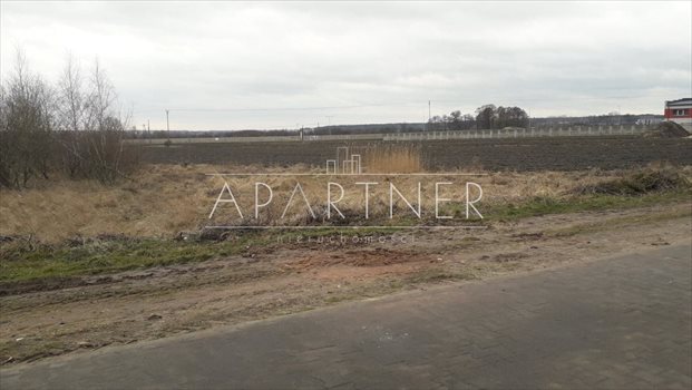 Działka budowlana na sprzedaż Konstantynów Łódzki, Niesięcin 5 388m2 Foto 11